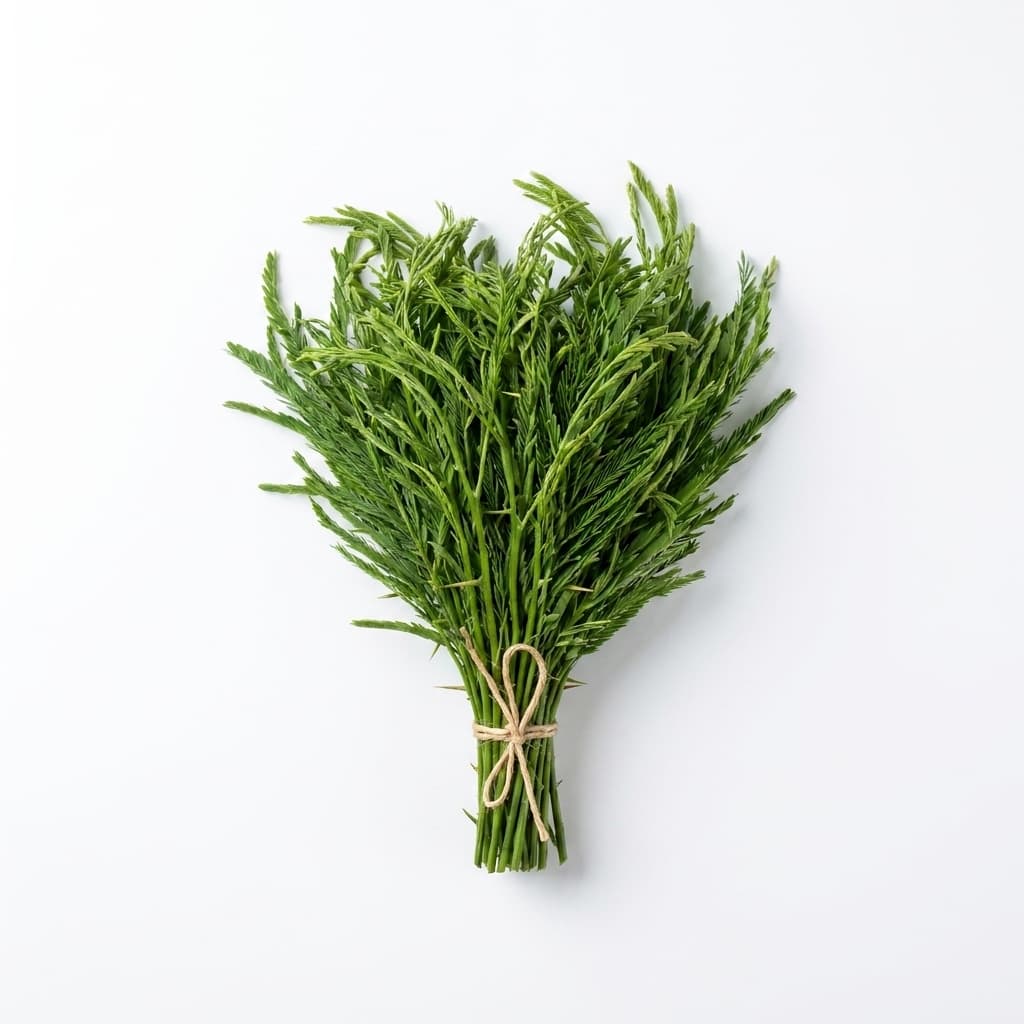 Acacia