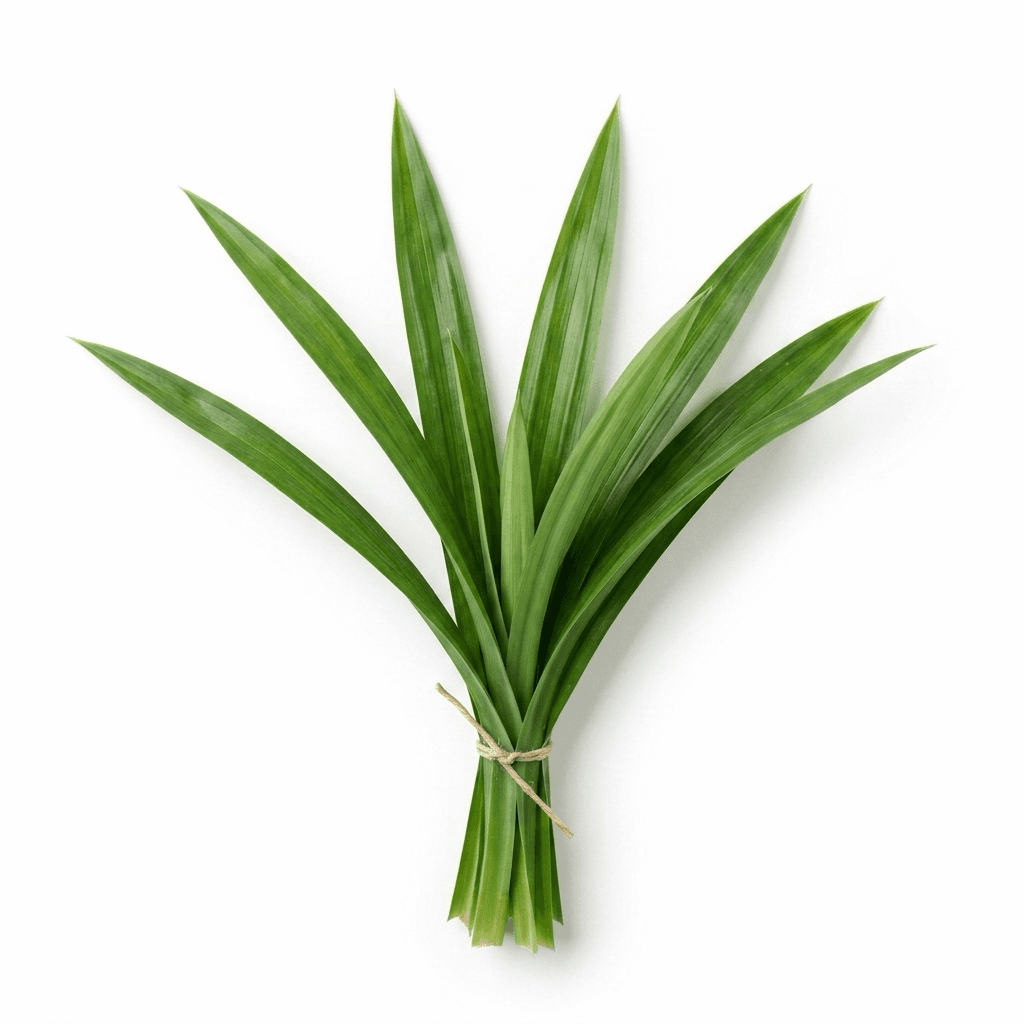 Pandan blad