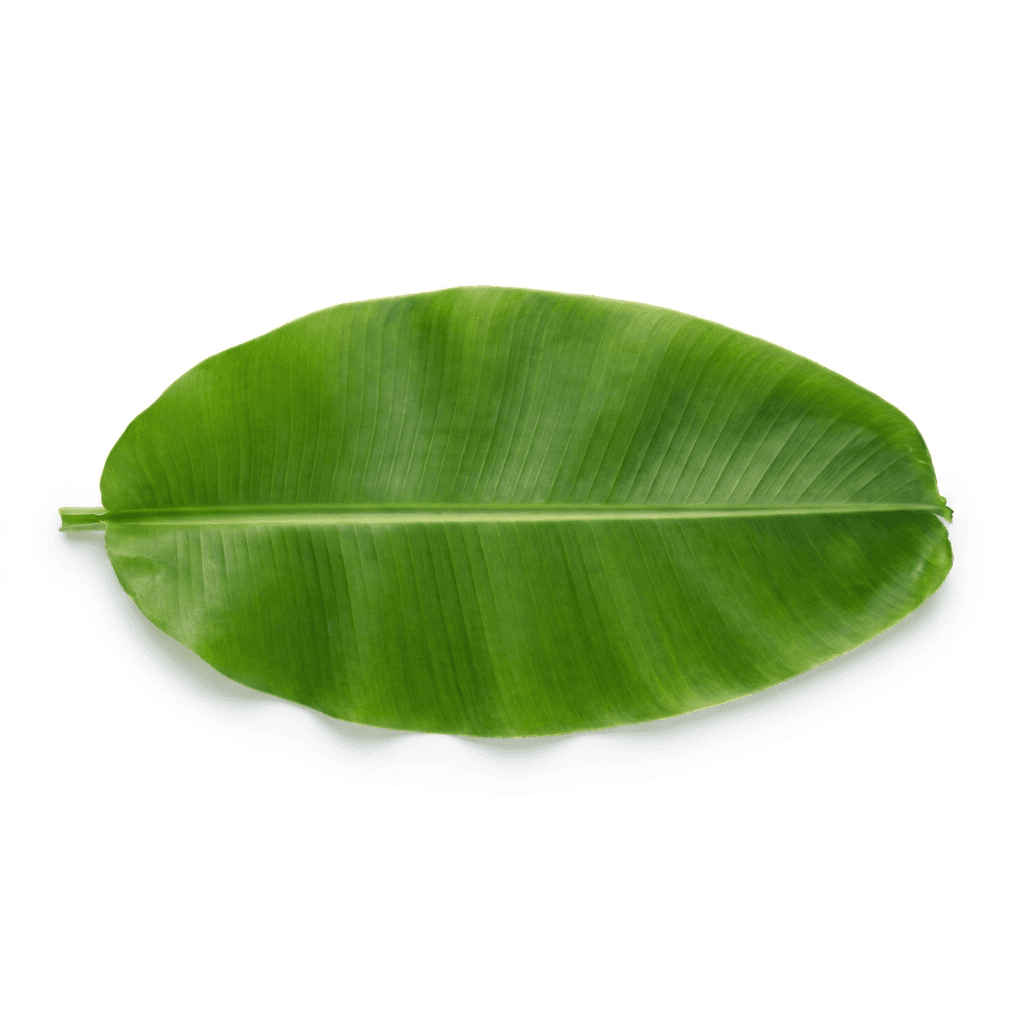 Pisang blad (recht, 500 g)