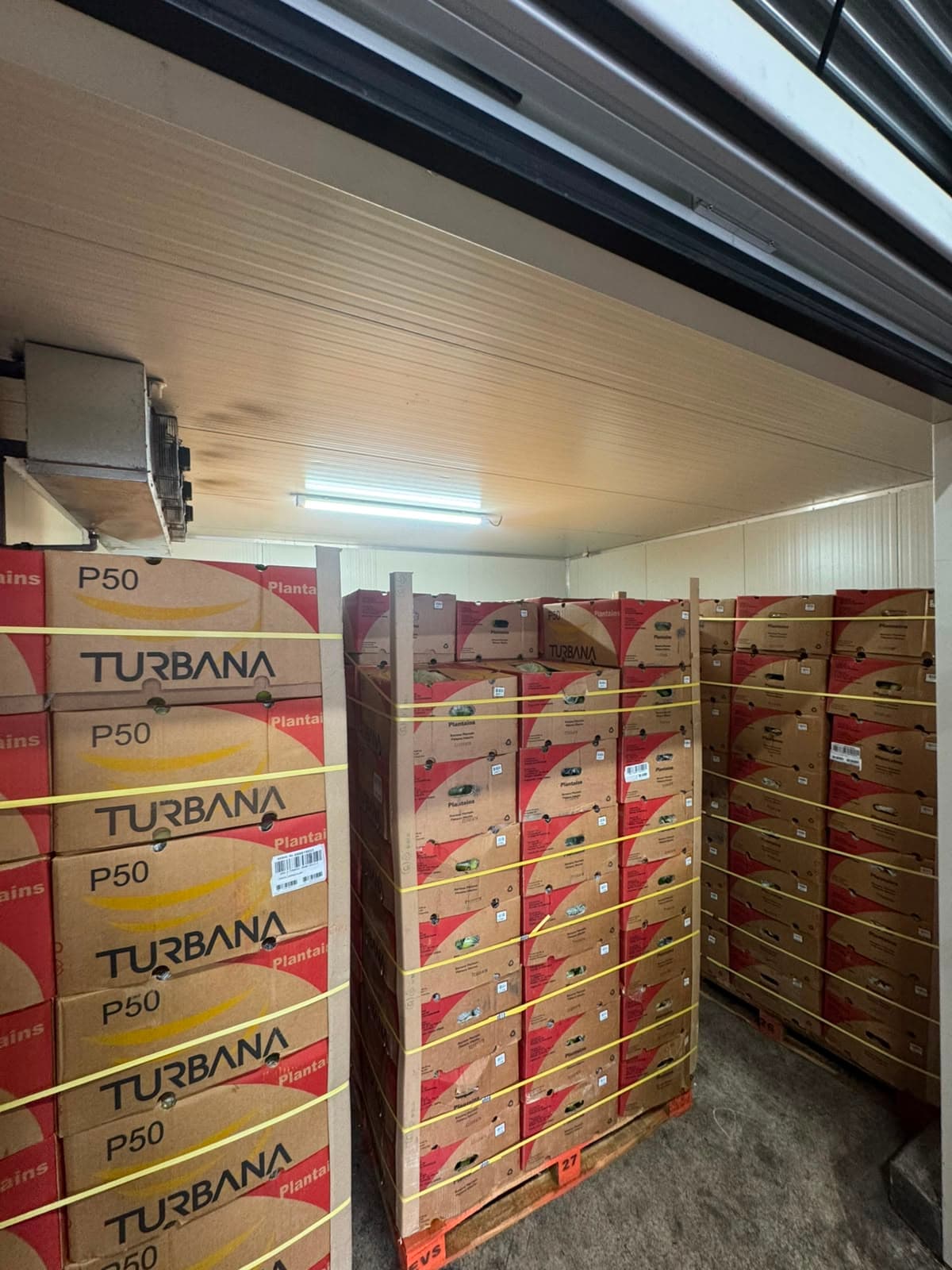 Pallets met Turbana P50-dozen bakbanaan in de koelcel van Karsten op het Food Center Amsterdam.